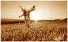 scarecrow.jpg