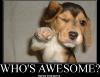 who-is-awesome.jpg