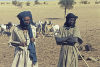 800px-Mali1974-151_hg.jpg