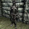 600px-SR-item-Ebony_Armor_Female.jpg