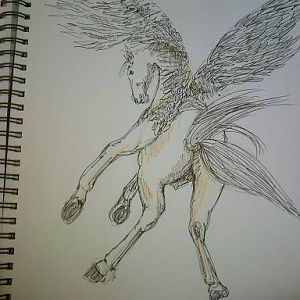 character development Haizum