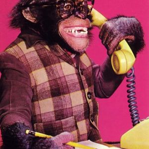 business-chimp_2_
