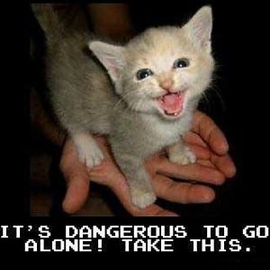 DANGER_KITTY