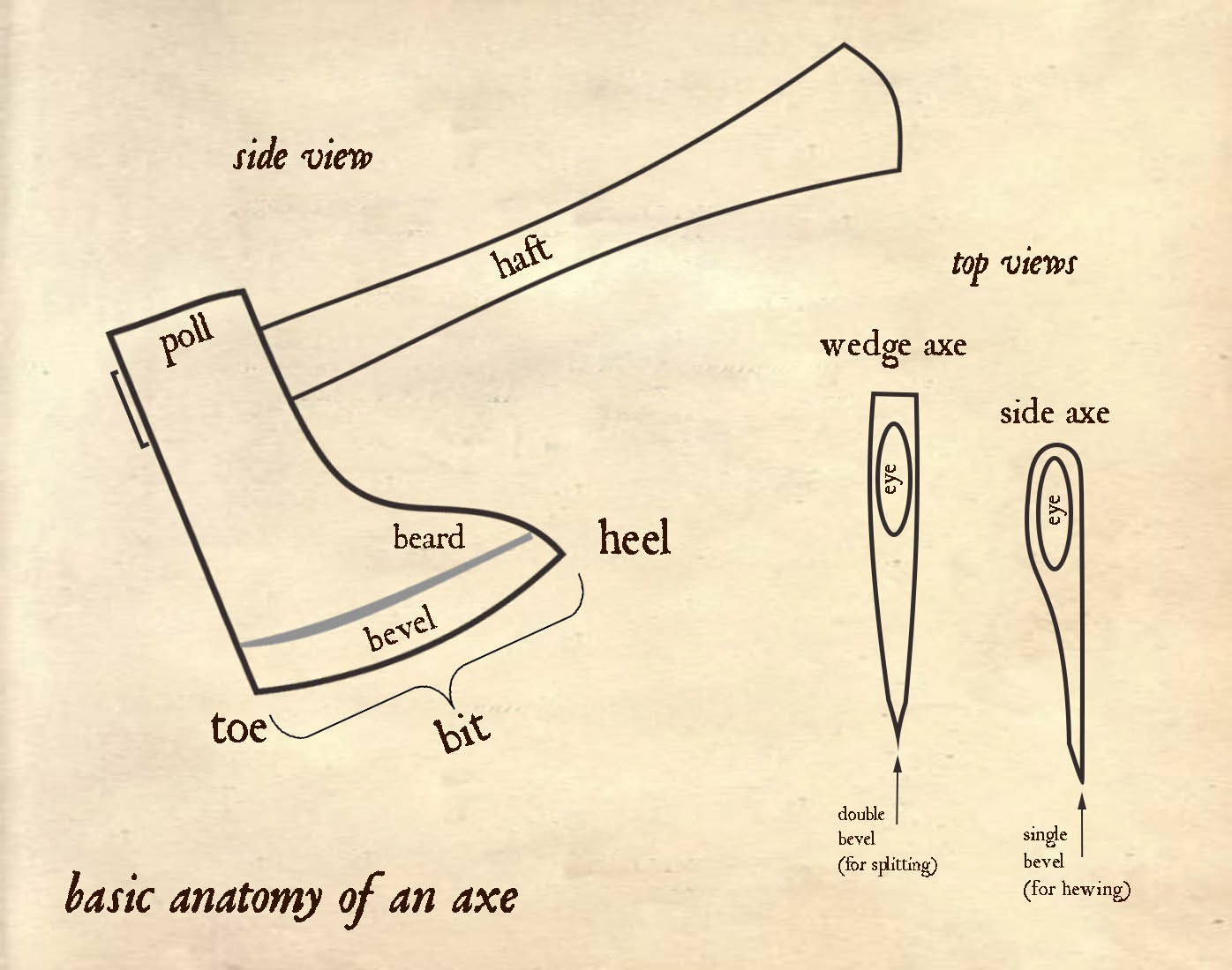 axe_anatomy