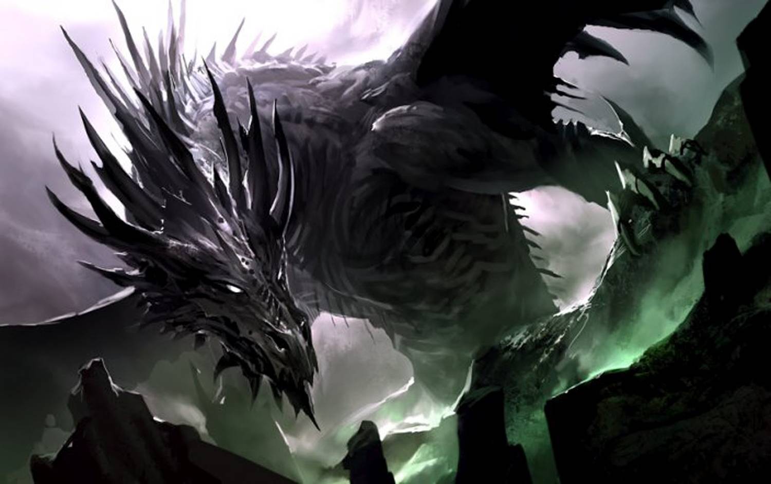 BLACK_FIRE_BREATHING_DRAGON_