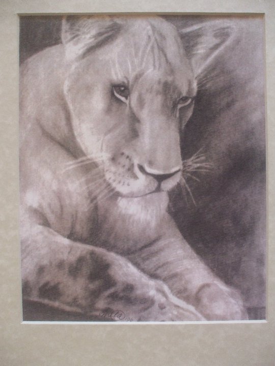 Lioness Pencil