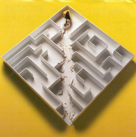 Rat_in_Maze_Destruction